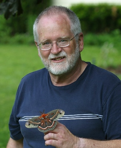 Bearded man holding butterfly